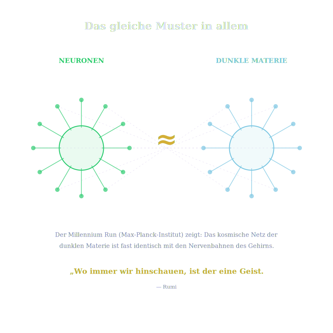 Dunkle Materie und Neuronen – das gleiche Muster